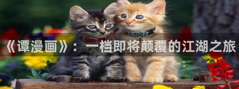 香蕉漫画免费登录：《谭漫画》：一档即将颠覆的江湖之旅