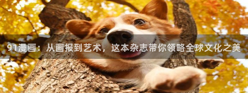 香蕉漫画免费登录入口：91漫画：从画报到艺术，这本杂志带你领略全球文化之美