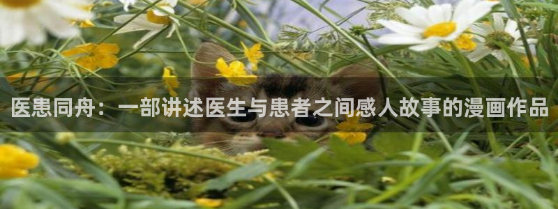 香蕉漫画秘密教学：医患同舟：一部讲述医生与患者之间感人故事的漫画作品